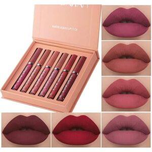 Matte Liquid Lipstick Makeup
